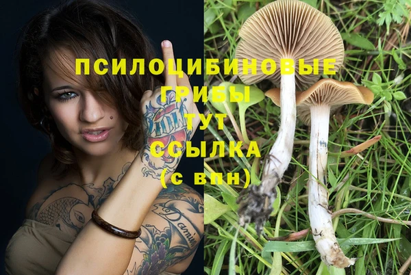 мяу мяу кристалл Новодвинск
