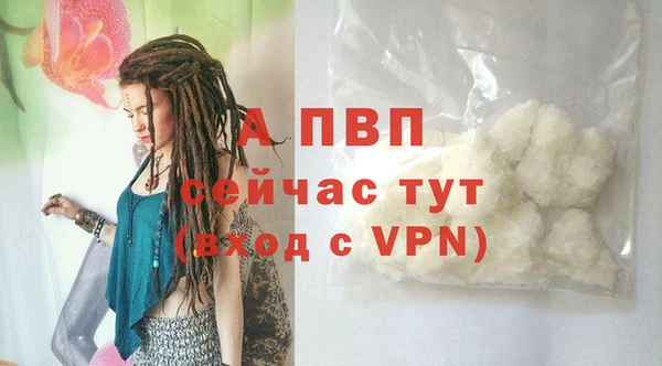ГАЛЛЮЦИНОГЕННЫЕ ГРИБЫ Нея