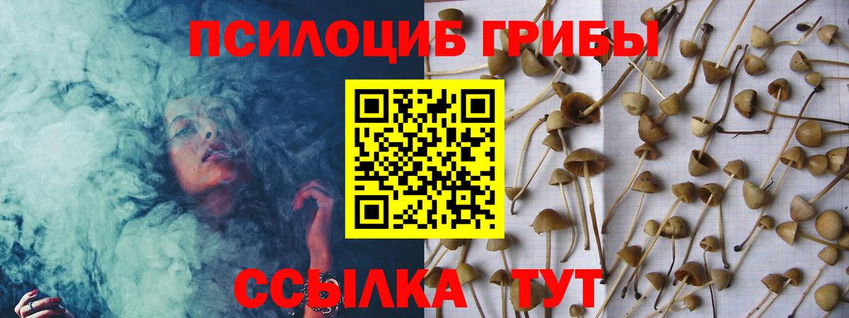 Галлюциногенные грибы мухоморы  купить закладку  Ипатово  Галлюциногенные грибы ЛСД 
