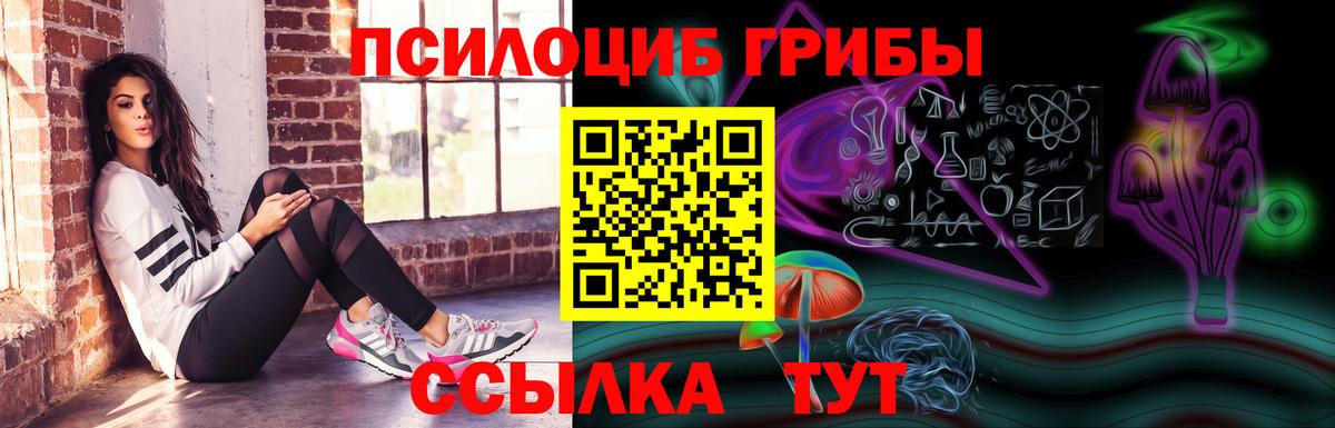 Псилоцибиновые грибы прущие грибы Ипатово