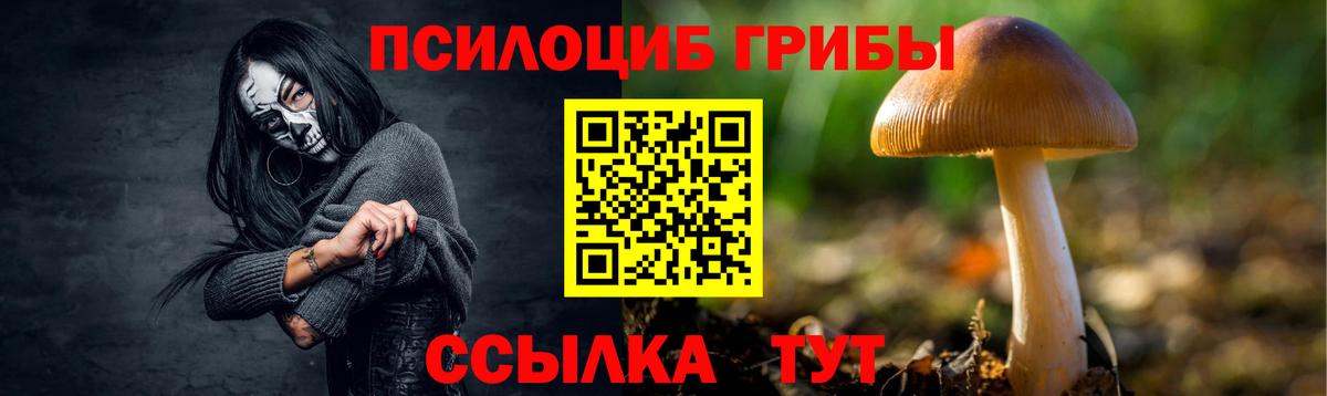 Псилоцибиновые грибы Psilocybe  Вход с VPN  Ипатово 